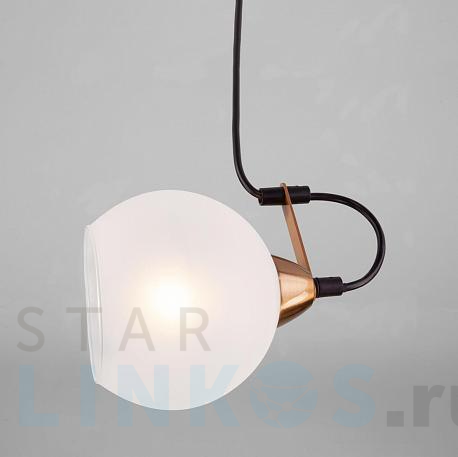 Купить Подвесной светильник Eurosvet 50175/1 черный за 1 990 руб. в Туле фото 2 Купить с доставкой Подвесной светильник Eurosvet 50175/1 черный в Туле фото 2