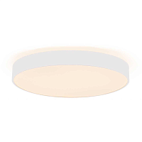 Купить Потолочный светодиодный светильник Deko-Light Menkar 348202 в Туле