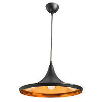 Купить Подвесной светильник Arte Lamp Cappello A3406SP-1BK в Туле
