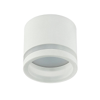 Купить Потолочный светильник IMEX IL.0005.4500 WH в Туле