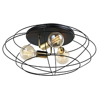 Купить Потолочная люстра Lussole Loft Truman LSP-8195 в Туле