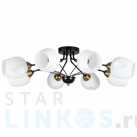 Купить Потолочная люстра Arte Lamp Brighton A2706PL-8CK за 9 990 руб. в Туле фото 2 Купить с доставкой Потолочная люстра Arte Lamp Brighton A2706PL-8CK в Туле фото 2