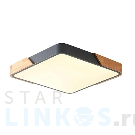 Купить Потолочный светильник Zortes ALBERRO ZRS.01288.36 за 9 950 руб. в Туле фото 2 Купить с доставкой Потолочный светильник Zortes ALBERRO ZRS.01288.36 в Туле фото 2