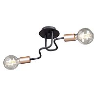 Купить Потолочная люстра Vitaluce V4560-1/2PL в Туле