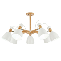 Купить Потолочная люстра Evoluce Balcamo SLE103802-07 в Туле