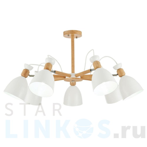 Купить Потолочная люстра Evoluce Balcamo SLE103802-07 за 19 010 руб. в Туле Купить с доставкой Потолочная люстра Evoluce Balcamo SLE103802-07 в Туле