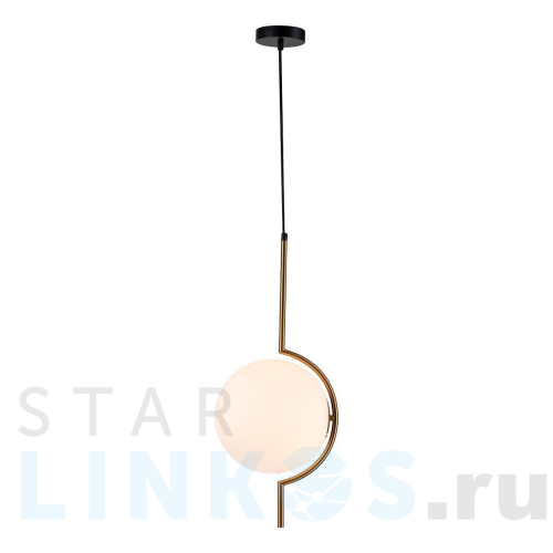 Купить Подвесной светильник Indigo Opaco 11015/1P Black V000150 за 16 620 руб. в Туле Купить с доставкой Подвесной светильник Indigo Opaco 11015/1P Black V000150 в Туле