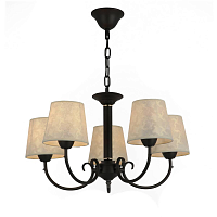 Купить Подвесная люстра Evoluce Rimento SLE120303-05 в Туле