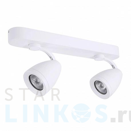 Купить Спот Azzardo Albico 2 AZ1241 за 17 770 руб. в Туле фото 2 Купить с доставкой Спот Azzardo Albico 2 AZ1241 в Туле фото 2