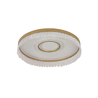 Купить Потолочный светодиодный светильник F-Promo Lunetta 4186-2C в Туле