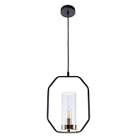 Купить Подвесной светильник Arte Lamp Celaeno A7004SP-1BK в Туле