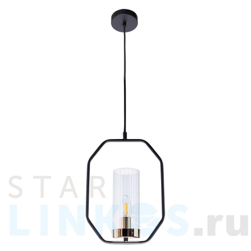 Купить Подвесной светильник Arte Lamp Celaeno A7004SP-1BK за 3 990 руб. в Туле Купить с доставкой Подвесной светильник Arte Lamp Celaeno A7004SP-1BK в Туле