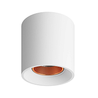Купить Накладной светильник Denkirs DK3090-WBR в Туле
