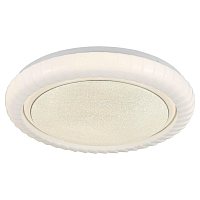 Купить Потолочный светодиодный светильник Lussole Lgo Moonlight LSP-8313 в Туле