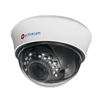 Купить Аналоговая камера ActiveCam AC-H1D2 в Туле