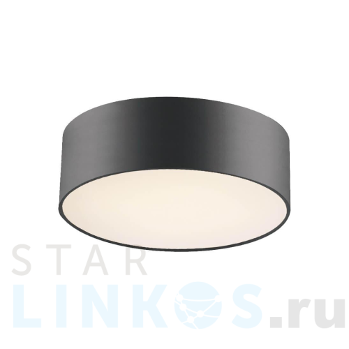 Купить с доставкой Потолочный светильник Favourite Cerchi 1514-2C1 в Туле