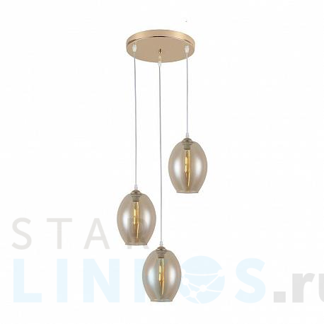 Купить Подвесная люстра Ritter Forli 52535 6 за 5 747 руб. в Туле фото 2 Купить с доставкой Подвесная люстра Ritter Forli 52535 6 в Туле фото 2