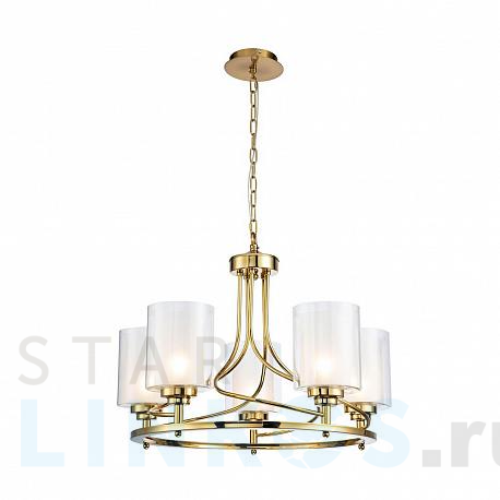 Купить Подвесная люстра Favourite Plexus 2963-5P за 47 300 руб. в Туле фото 2 Купить с доставкой Подвесная люстра Favourite Plexus 2963-5P в Туле фото 2