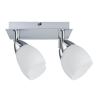 Купить Спот Paulmann WolbaLed 66684 в Туле