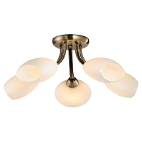 Купить Потолочная люстра Lussole Lgo LSP-0189 в Туле