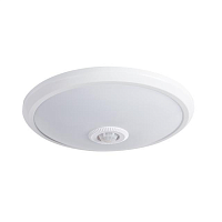 Купить Настенный потолочный светильник Kanlux FOGLER LED 14W-NW 18121 в Туле
