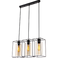 Купить Подвесной светильник Toplight Robyn TL1176H-03BK в Туле