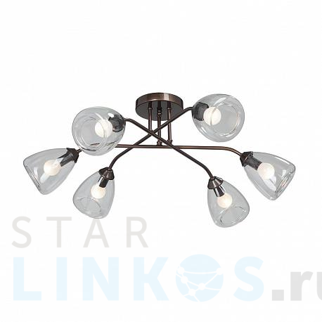 Купить Потолочная люстра Vitaluce V4953-7/6PL за 8 499 руб. в Туле фото 2 Купить с доставкой Потолочная люстра Vitaluce V4953-7/6PL в Туле фото 2