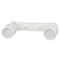 Купить Спот Fametto Sotto DLC-S612 GU10x2 White в Туле