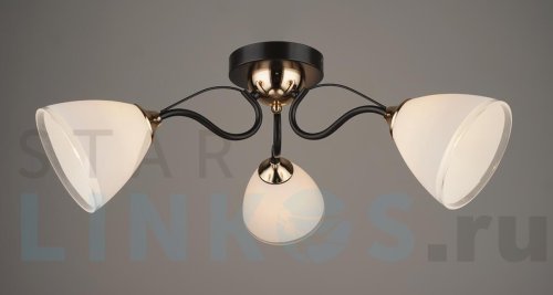 Купить Потолочная люстра Hiper Cleo H210-3 за 3 238 руб. в Туле Купить с доставкой Потолочная люстра Hiper Cleo H210-3 в Туле