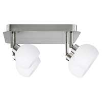 Купить Спот Paulmann Wolbi 60149 в Туле