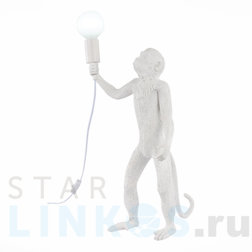Купить с доставкой Прикроватная лампа Evoluce Tenato SLE115114-01 в Туле