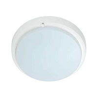 Купить Настенно-потолочный светодиодный светильник IEK ДПО LDPO0-4005-8-6500-K01 в Туле