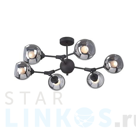 Купить Потолочная люстра Vitaluce V4994-1/6PL за 10 973 руб. в Туле фото 2 Купить с доставкой Потолочная люстра Vitaluce V4994-1/6PL в Туле фото 2