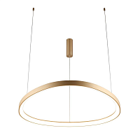 Купить Подвесной светильник Aployt Zula APL.022.03.60 в Туле