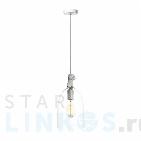 Купить Подвесной светильник Loft IT Wildlife Loft1808 за 2 240 руб. в Туле фото 2 Купить с доставкой Подвесной светильник Loft IT Wildlife Loft1808 в Туле фото 2