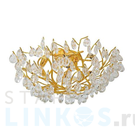 Купить Потолочная люстра Favourite Pluvia 4162-8C за 49 900 руб. в Туле фото 2 Купить с доставкой Потолочная люстра Favourite Pluvia 4162-8C в Туле фото 2