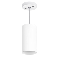 Купить Подвесной светильник Lightstar Rullo (216486+590086) RP6486 в Туле