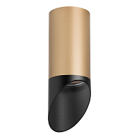 Купить Потолочный светильник Lightstar Rullo (214440+201437) R44037 в Туле