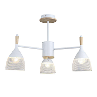 Купить Потолочная люстра Seven Fires Adion WD3500/3C-WT в Туле