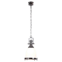Купить Подвесной светильник Lussole Loft GRLSP-9613 в Туле