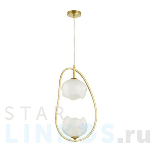 Купить Подвесной светильник Odeon Light Modern Waterlily 4873/2 за 8 990 руб. в Туле Купить с доставкой Подвесной светильник Odeon Light Modern Waterlily 4873/2 в Туле