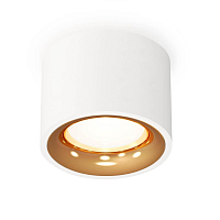 Купить Комплект накладного светильника Ambrella light XS7510024 SWH/PYG белый песок/золото желтое полированное (C7510, N7014) в Туле