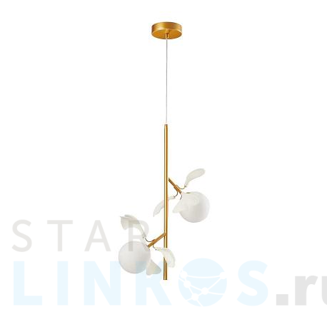 Купить Подвесной светильник Kink Light Аста 07867-2A,33 за 8 900 руб. в Туле фото 2 Купить с доставкой Подвесной светильник Kink Light Аста 07867-2A,33 в Туле фото 2