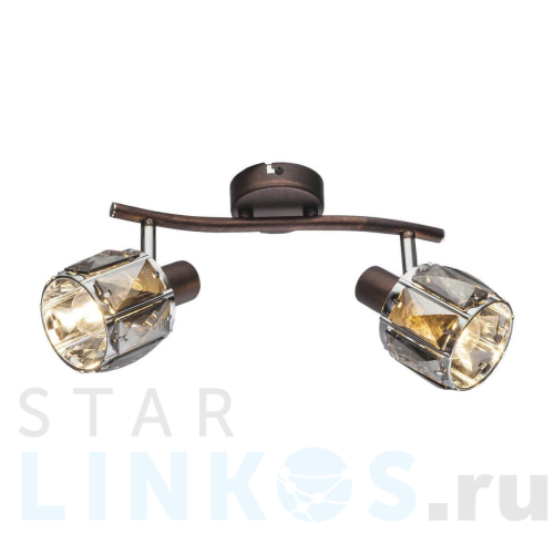 Купить Спот Globo Indiana 54357-2 за 10 810 руб. в Туле Купить с доставкой Спот Globo Indiana 54357-2 в Туле