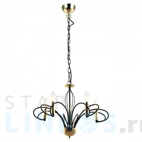 Купить Подвесная люстра Lussole Lgo Powell GRLSP-8194 за 10 035 руб. в Туле фото 2 Купить с доставкой Подвесная люстра Lussole Lgo Powell GRLSP-8194 в Туле фото 2