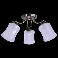 Купить Потолочная люстра Reluce 07955-0.3-03 в Туле