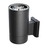 Купить Уличный настенный светодиодный светильник Jazzway PWL-200110/30D 2857965B в Туле