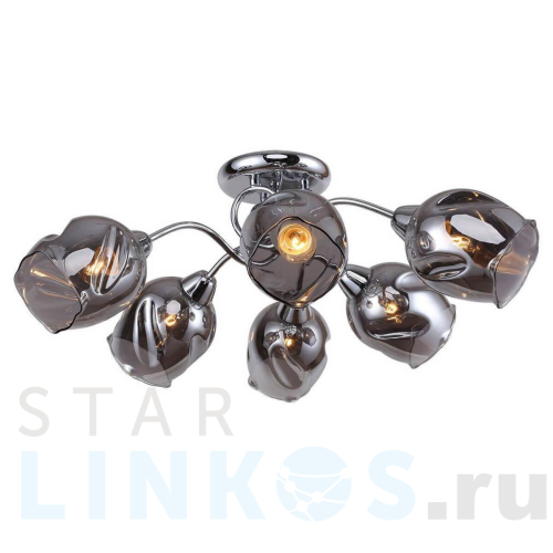 Купить Потолочная люстра Lussole Lgo Cochise LSP-8087 за 9 561 руб. в Туле Купить с доставкой Потолочная люстра Lussole Lgo Cochise LSP-8087 в Туле