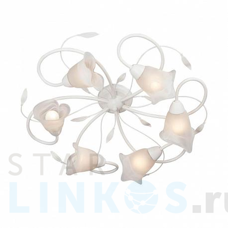 Купить Потолочная люстра Vitaluce V3815-0/6PL за 10 229 руб. в Туле фото 2 Купить с доставкой Потолочная люстра Vitaluce V3815-0/6PL в Туле фото 2