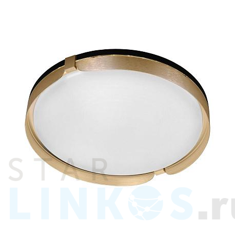 Купить Потолочный светодиодный светильник Gerhort G61240/1GD WT за 11 900 руб. в Туле фото 2 Купить с доставкой Потолочный светодиодный светильник Gerhort G61240/1GD WT в Туле фото 2